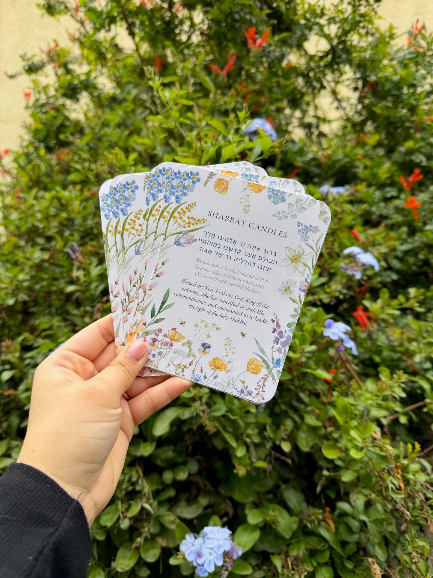 Shabbat Cards (5.4 x 4 in)